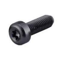 PARAFUSO TORX WOODMAN PRETO (PAR)