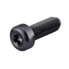 PARAFUSO P/SUPORTE DE CARAMANHOLA WOODMAN PRETO TORX (PAR)