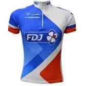 CAMISA ERT TOUR FDJ TAM G